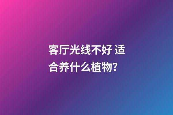 客厅光线不好 适合养什么植物？